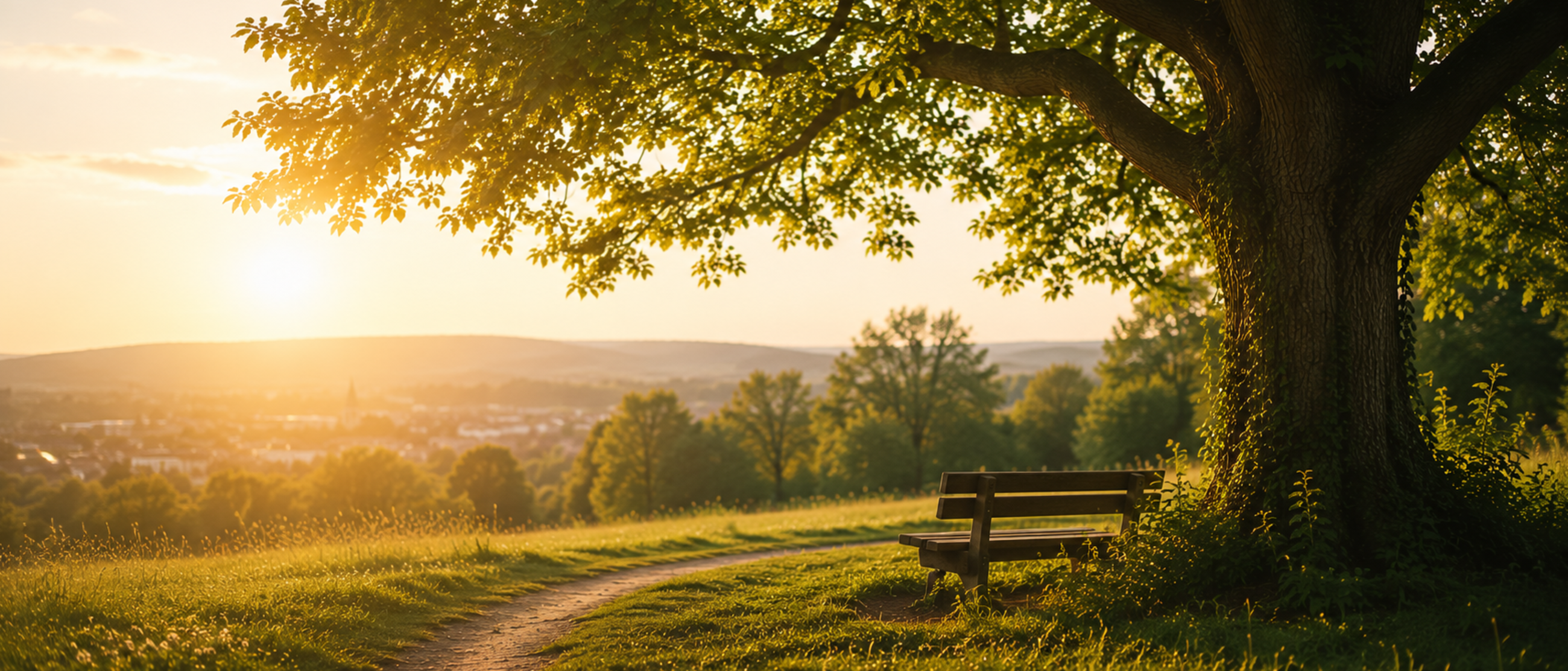 header_startseite